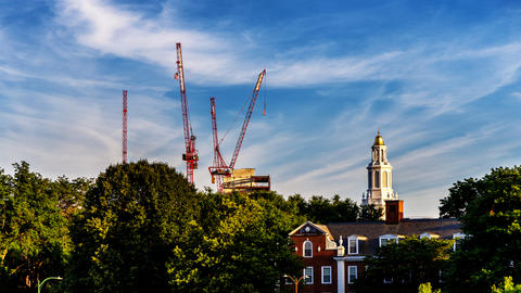 Construction cranes next to a Harvard building.