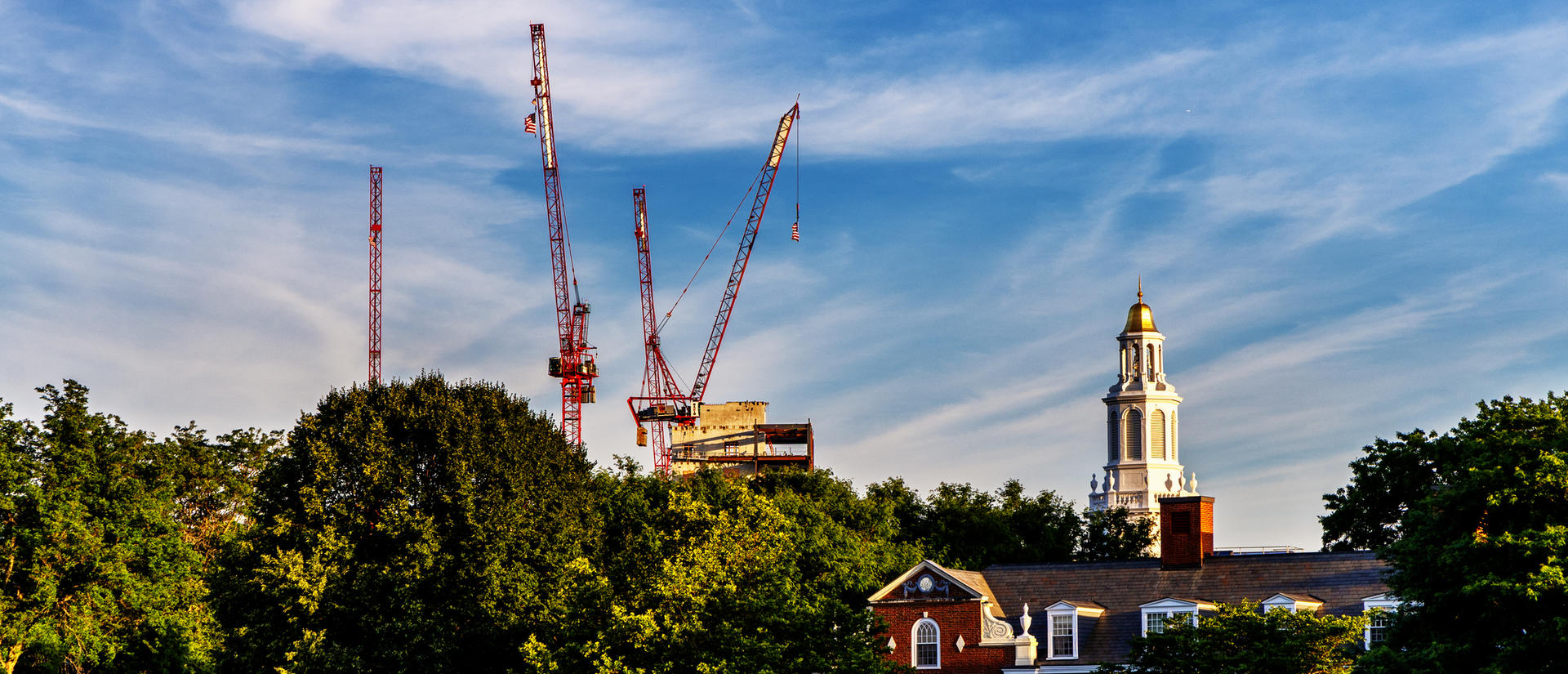 Construction cranes next to a Harvard building.